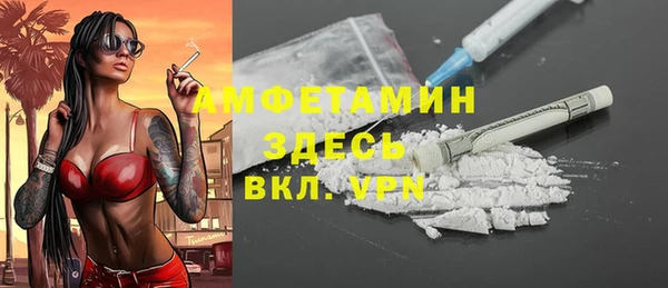 шишки Пестово