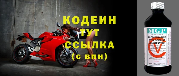 шишки Пестово
