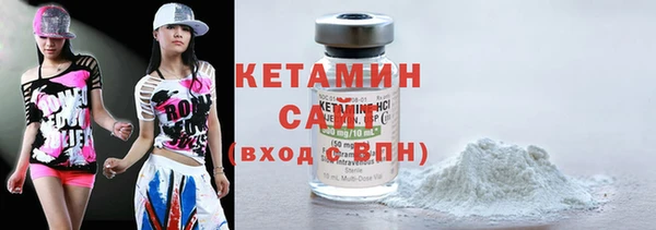твердый Пересвет