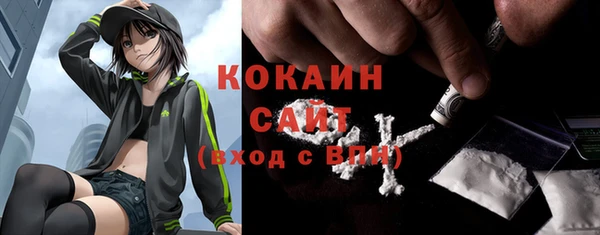 шишки Пестово