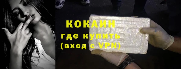 твердый Пересвет