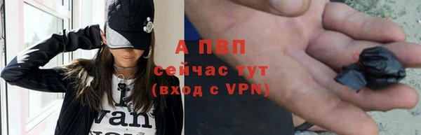 шишки Пестово