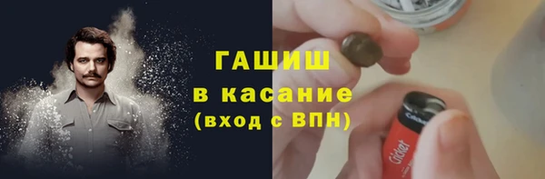 твердый Пересвет