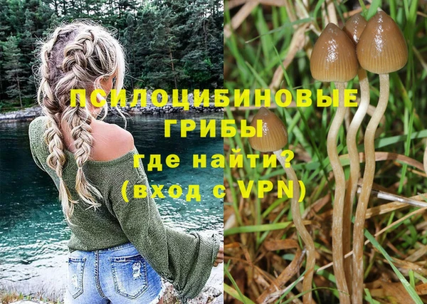 шишки Пестово