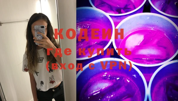 шишки Пестово